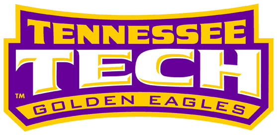 Tennessee Tech Golden Eagles 2006-Pres Wordmark Logo DIY iron on transfer (heat transfer)